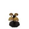 Golden Earrings